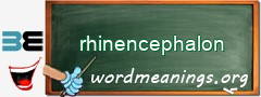 WordMeaning blackboard for rhinencephalon